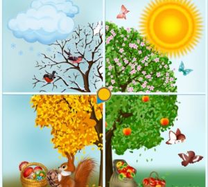 Saisons et mois
