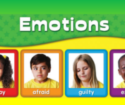 Emotions (Feelings)