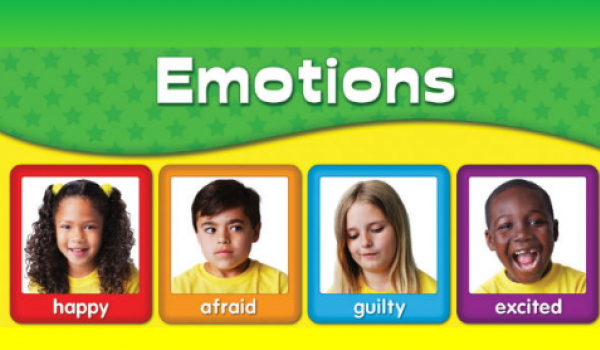 Emotions (Sentiments)