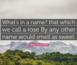 A Rose By Any Other Name (More Idioms and Phrases).
