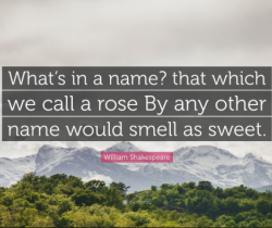 Una rosa con qualsiasi altro nome (più idiomi e frasi).