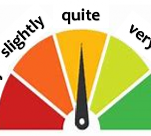 Adverb of Degree