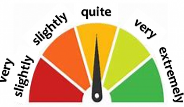 Adverb of Degree
