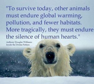 Are humans to blame for certain animal extinctions?