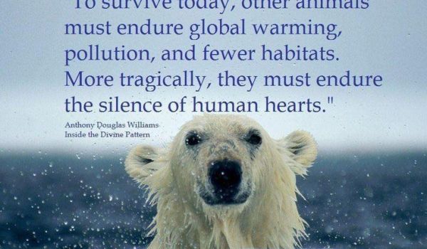 Are humans to blame for certain animal extinctions?