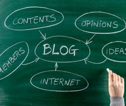 Blogs, School Articles…