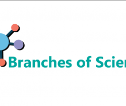 Branches Of  Science - Part 1