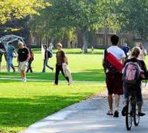 Leben auf dem Campus (grundlegende Essayistik)