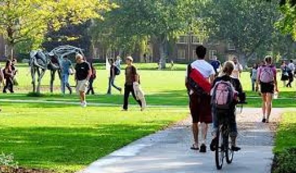Leben auf dem Campus (grundlegende Essayistik)