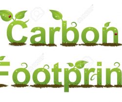 Carbon Footprint