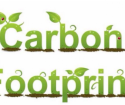 Carbon Footprint