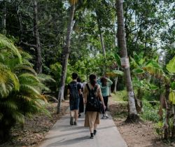 Écotourisme : Nature à Explorer