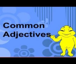 Adjectives 1: Common