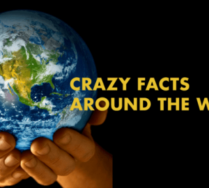 Crazy Facts Of The World