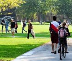 Leben auf dem Campus (grundlegende Essayistik)