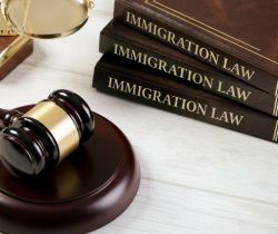 Decodifica delle leggi sull'immigrazione
