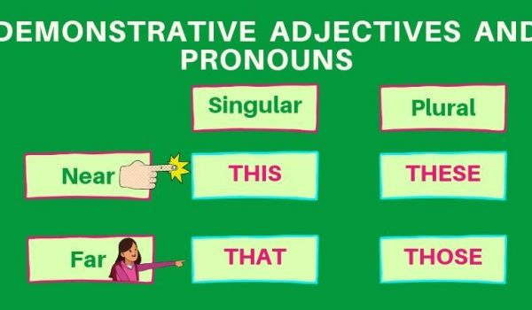 Demonstrative Pronouns