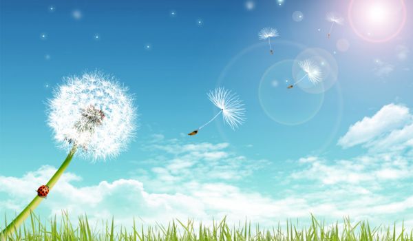 Beautiful dream