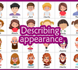 Describing Appearance