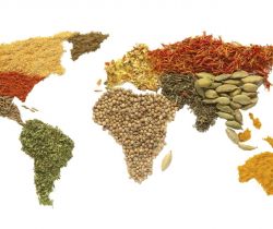 L’alimentation dans le monde