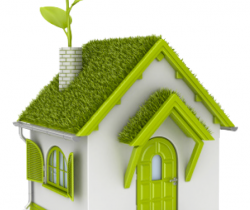 Eco-friendly homes