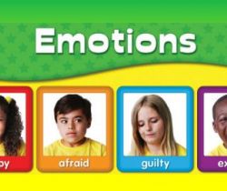 Emotions (Feelings)