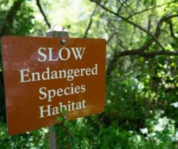 Endangered! - Protected Areas and Tourism
