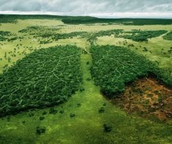 Les problèmes environnementaux