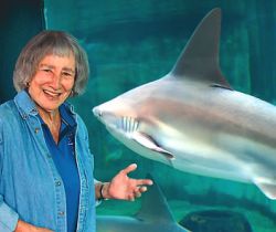 Signora Eugenie Clark-The Shark