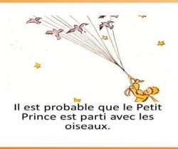 Espressioni di probabilità (Il tempo presente dei verbi 'aller', 'partir' e 'venir')