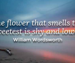 Poeti (William Wordsworth, Blake ...)