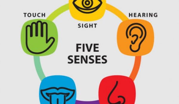 Five Senses