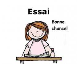 Essai 7