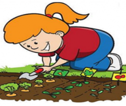 Gartenarbeit - Tipps und Vorteile