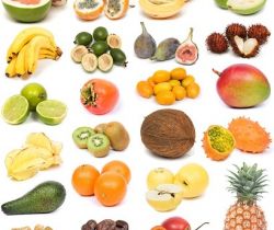 Vegetables and Fruits Part I