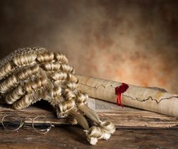 Hostility towards the legal profession
