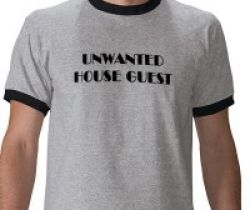 How to be a Good House Guest?