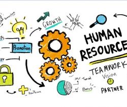 How Human Resources Work In Your Organization