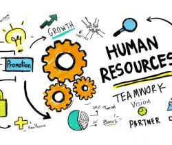 How Human Resources Work In Your Organization