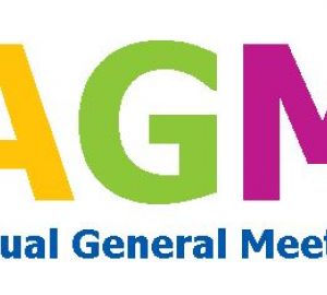 Ideale Präsentation für eine jährliche Hauptversammlung (AGM)