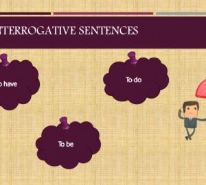 Interrogatives Sentences