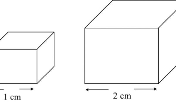 Introdution au volume. L'utilisation du centimétre cube comme unité standard.
