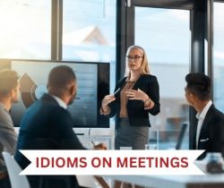 Keep me in the loop (Idioms on Meetings)