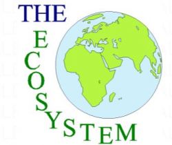 Tierra y el agua (el ecosistema)