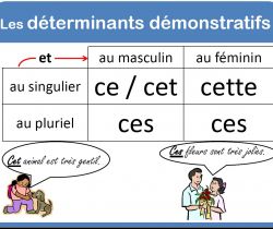 Demonstrative Pronouns: This & these (Ce/cet/cette/ces)