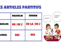 Partitive Articles