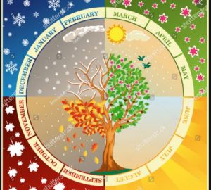 Les mois et les saisons de l'année