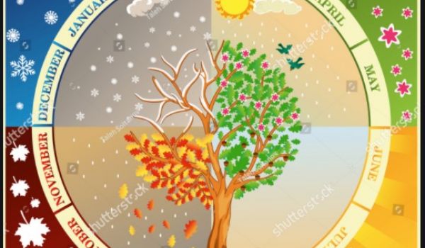 Les mois et les saisons de l'année