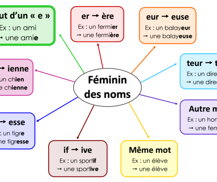 The feminine nouns.