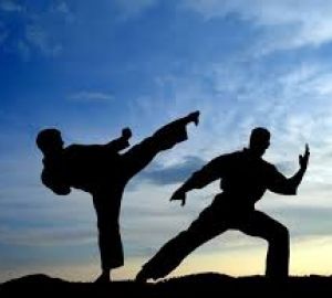 Artes marciales